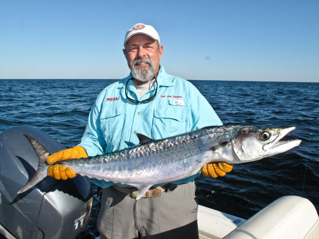 10 Biggest Fish Catches In The World Facts Verse