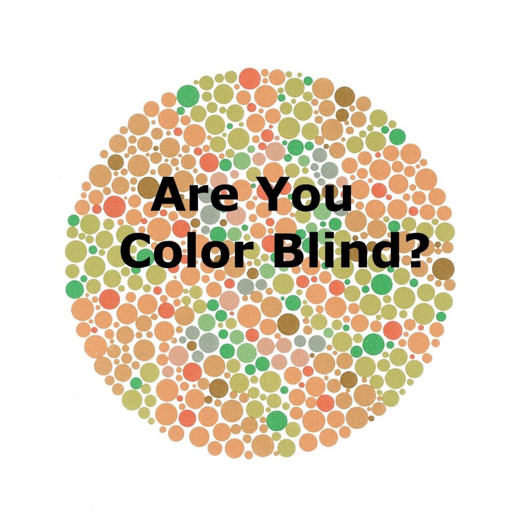 Kids taking color blind test computer