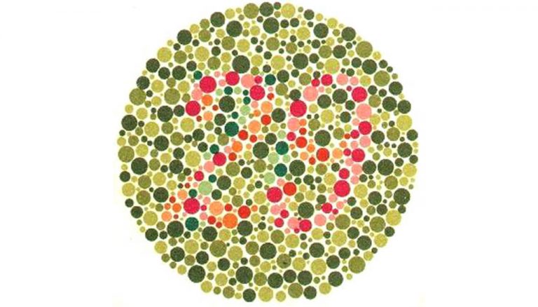 10 Images To Test The Color Blind - Facts Verse