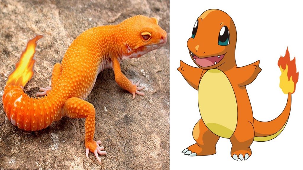 11 Pokemon That Actually Exist In Real Life - Facts Verse