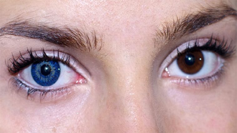 Turns Out All Blue-Eyed People Have A Very Weird Thing In Common That ...