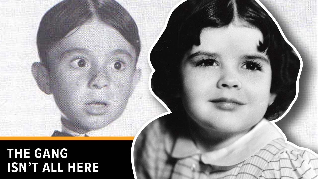 The Tragic Life Death And How Did Darla From Little Rascals Die 1374